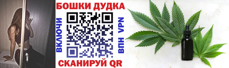 Бошки марихуана план  Купить закладки  Ессентуки 